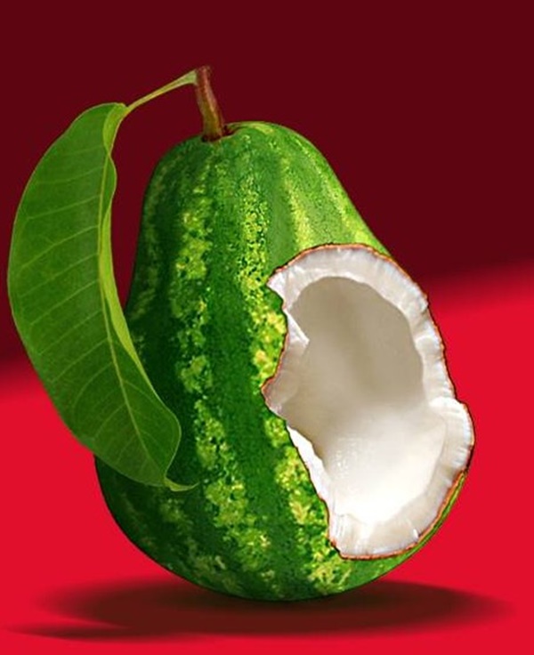 Hình hình họa hoa quả trái cây, ngược cây troll Photoshop thay cho ruột