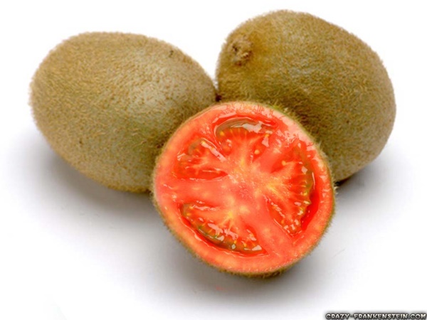 Hình hình họa hoa quả trái cây, ngược cây troll Photoshop thay cho ruột